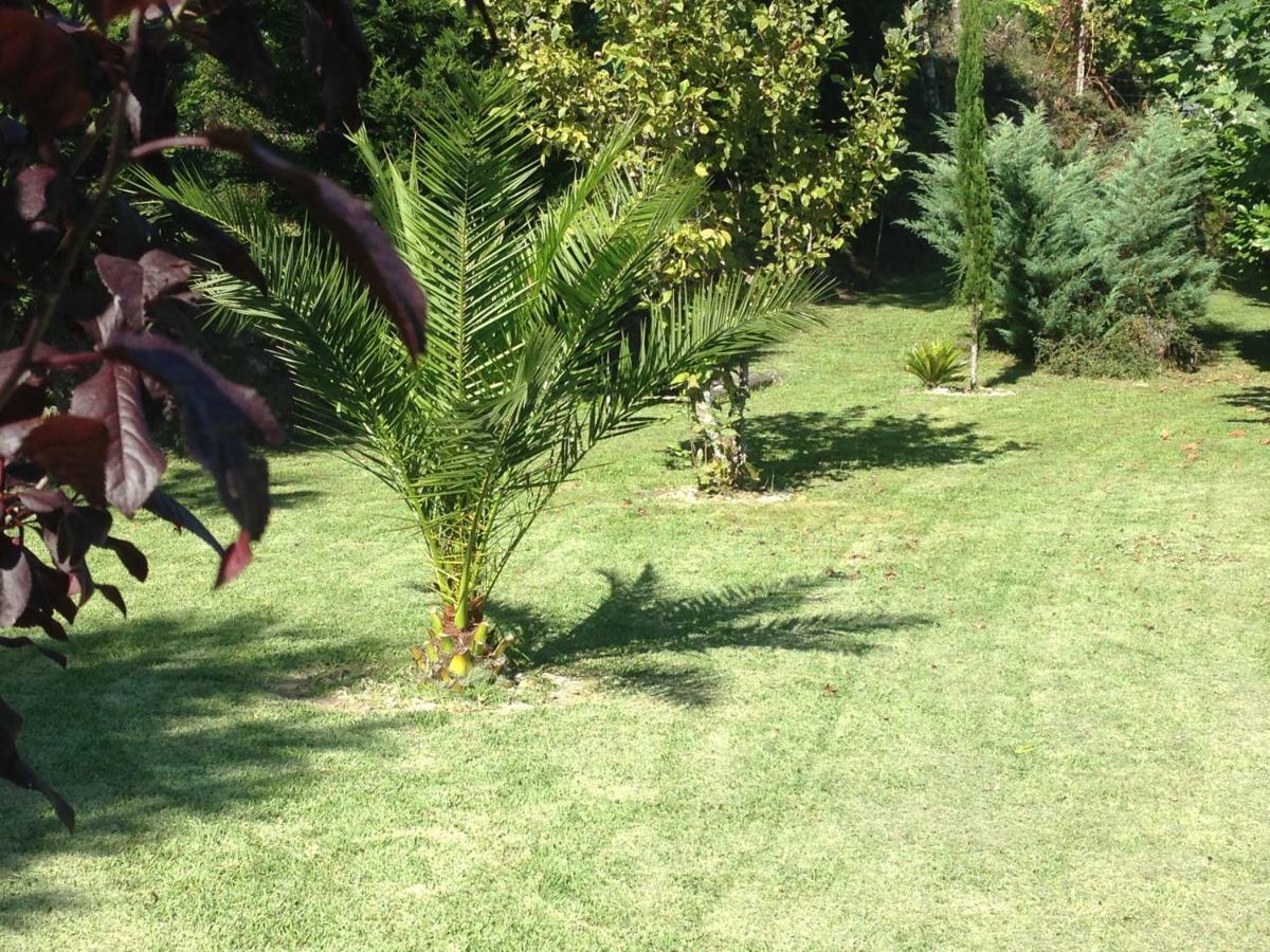 Quinta Leiras de Mondim Villa Pico Dış mekan fotoğraf